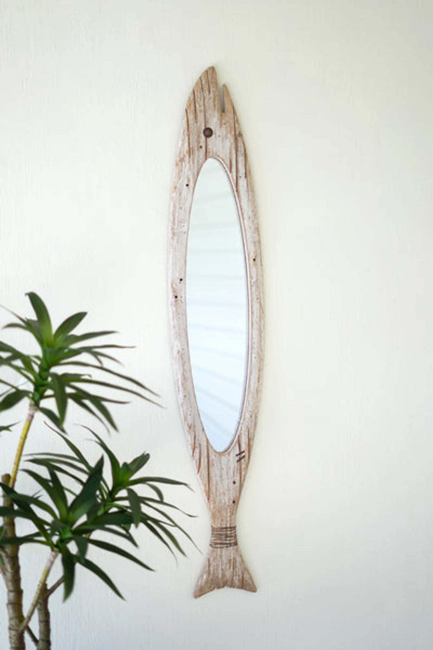 Carved Wooden Fish Mirror